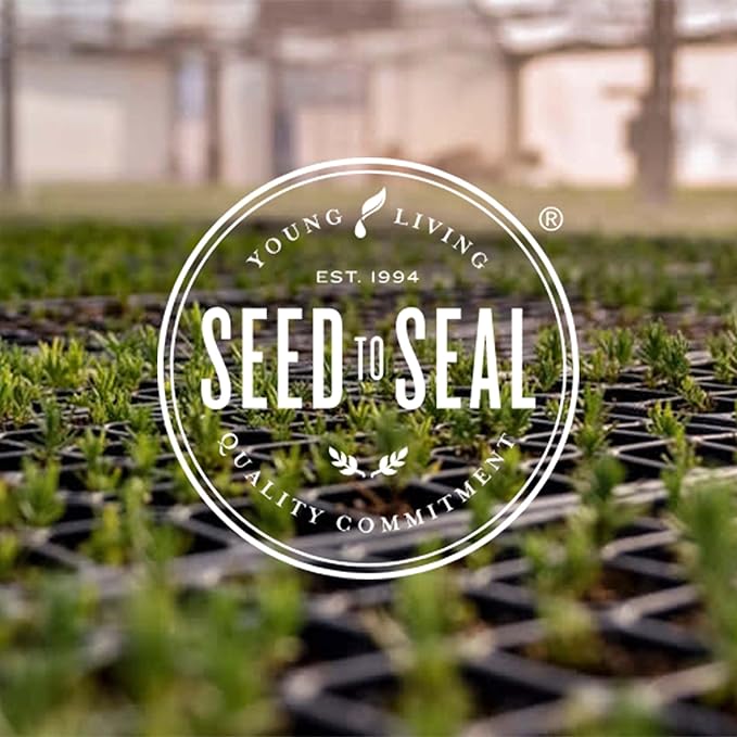 Young Living Tranquil Essential Oil Roll-On 10ml - Relaxing Blend - Find Peace and Serenity - Combines Cedarwood, Lavender, and Roman Chamomile for a Soothing Aroma Experience.