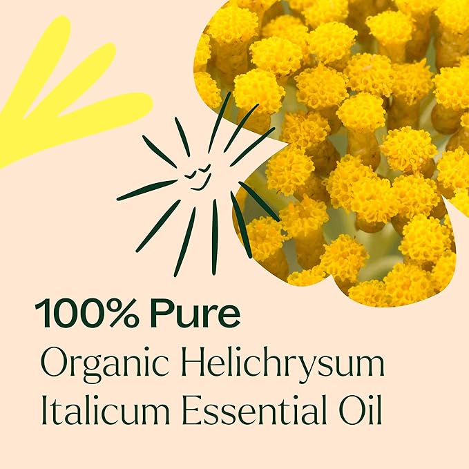 Plant Therapy Organic Helichrysum Italicum Essential Oil 100% Pure, USDA Certified Organic, Undiluted, Natural Aromatherapy, Therapeutic Grade 5 mL (1/6 oz)