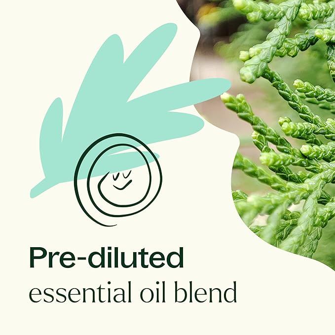 Plant Therapy KidSafe Sniffle Stopper Essential Oil Blend Pre-Diluted Roll-On 10 mL (1/3 oz) Respiratory Support Blend 100% Pure, Natural Aromatherapy, Therapeutic Grade