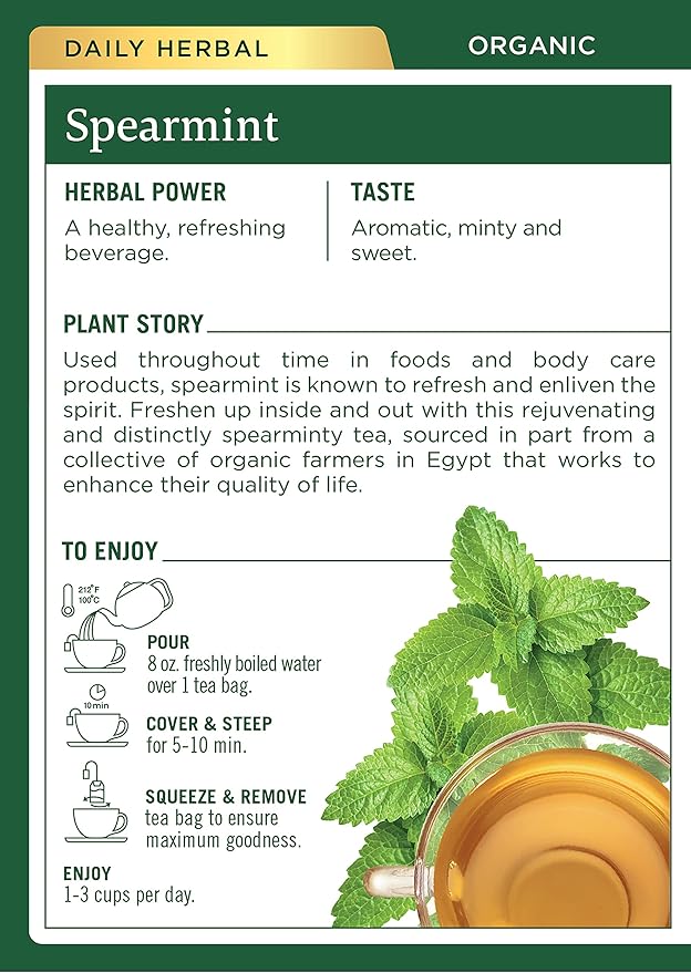Traditional Medicinals Organic Spearmint Herbal Tea, Healthy & Refreshing (16 Count (Pack of 3))