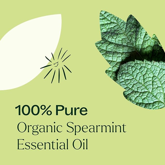 Plant Therapy USDA Certified Organic Spearmint Essential Oil 10 mL (1/3 oz) 100% Pure, Undiluted, Therapeutic Grade