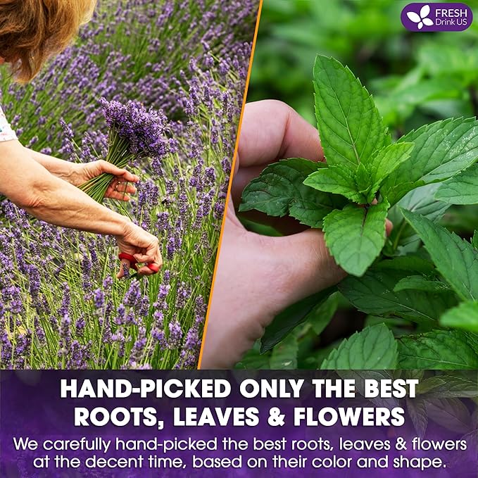 FreshDrinkUS, Premium 75 Tea Bags Lavender Mint Tea, 100% Natural, Blend of Lavender, Peppermint, Sage and Licorice. Made with Natural Material Tea Bags. No Sugar, No Caffeine, Vegan.