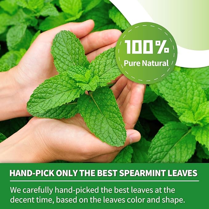 Tempoak Premium Spearmint Tea Bags - 60bags/6.4 Oz 100% Pure & Natural Spearmint Leaves Herbal Tea, Caffeine Free, No Additives, No Sugar, Non-gmo, No Gluten