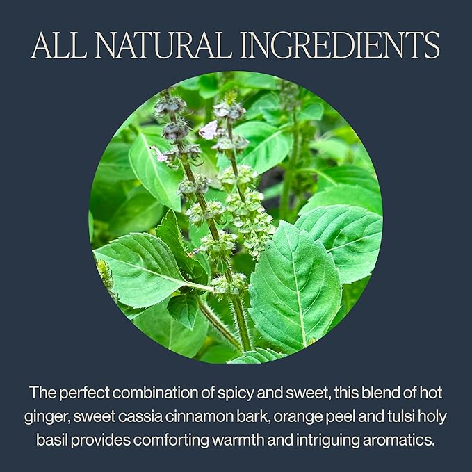 Rishi Tea Cinnamon Tulsi Spice Herbal Tea - Organic, Caffeine Free Sachet Bags, Warming & Naturally Sweet Botanical Blend - 15 Count (Pack of 6)