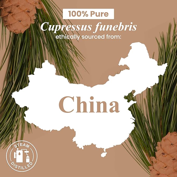 Handcraft Blends Cedarwood Essential Oil - 1 Fl Oz - 100% Pure and Natural - Premium Grade Essential Oil for Diffuser and Aromatherapy