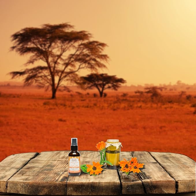 Shea Terra Egyptian Calendula Cold-Pressed Extra Virgin Oil | All Natural & Organic Oil Packed with Skin-Calming and Purifying Properties to Soothe Irritated, Weathered & Sun-Burned Skin – 2 oz