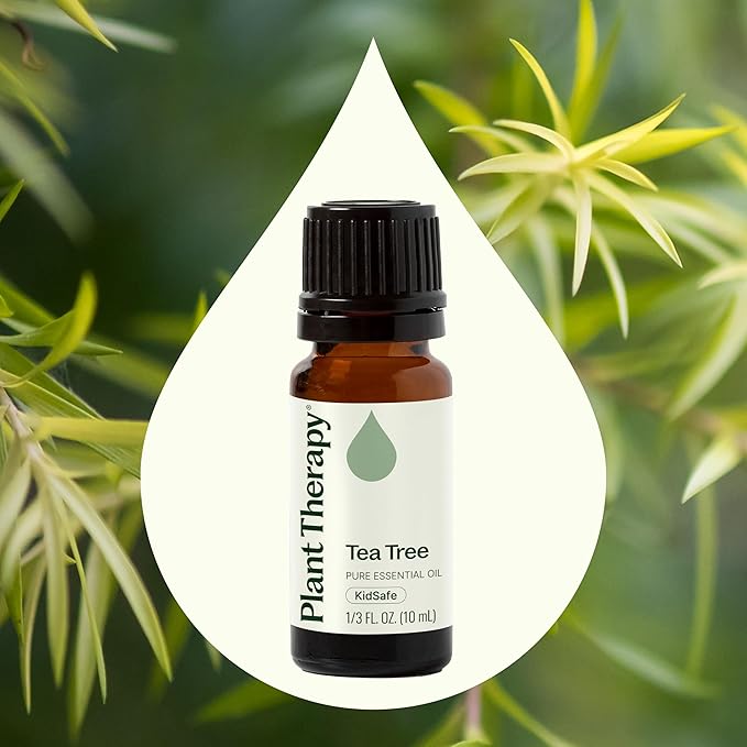 Plant Therapy Tea Tree Essential Oil 100% Pure, Undiluted, Natural Aromatherapy, Therapeutic Grade 10 mL (1/3 oz)