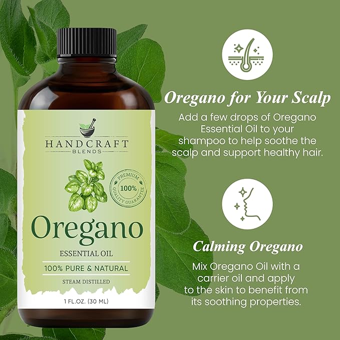 Handcraft Blends Oregano Oil - 1 Fl Oz - 100% Pure and Natural - Premium Grade Essential Oil for Diffuser and Aromatherapy