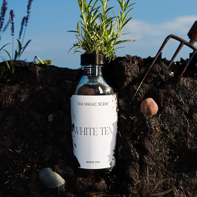 White Tea Oils for Diffuser - HVAC, Cold-Air, & Ultrasonic Diffuser Oil Inspired by The Tranquility of a Spa Resort - Essential Oils for Diffusers Aromatherapy - 8.5 fl oz, 250 mL