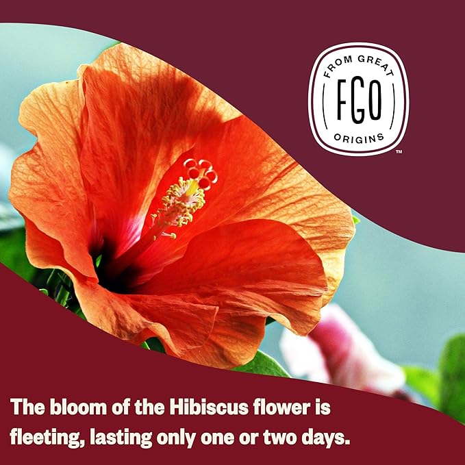 FGO Organic Hibiscus Herbal Tea, 40 Count, Eco-Conscious Tea Bags, Caffeine Free (Pack of 1)