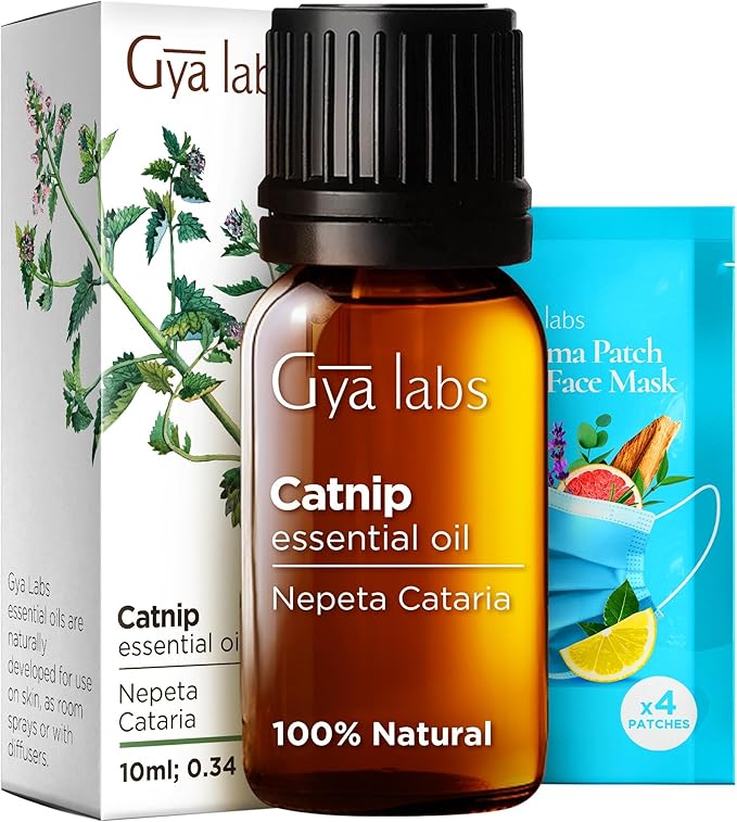 Gya Labs Catnip Essential Oil for Skin - 0.34 Fl Oz - 100% Pure Natural Catnip Oil for Diffuser, Candle Making Massage & DIY - Floral Herbaceous Scent