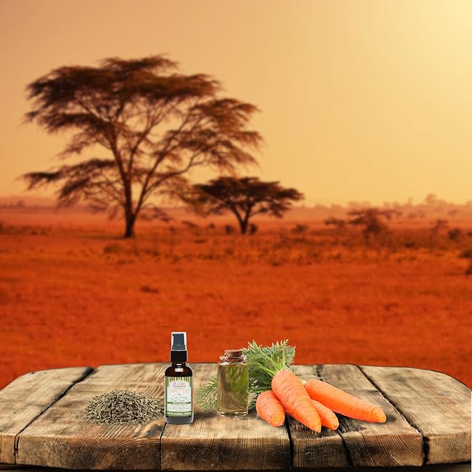 Shea Terra Egyptian Carrot Seed Cold-Pressed Extra Virgin Oil | Nutrient Rich, All Natural & Organic Oil with Anti-Aging Vitamin A, E and Beta-Carotene for Maturing and Damaged Skin Types – 2 oz