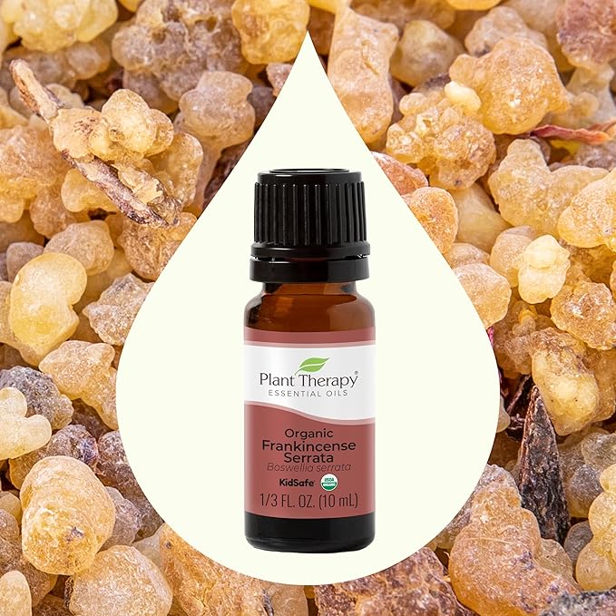 Plant Therapy Organic Frankincense Serrata Essential Oil 100% Pure, USDA Certified Organic, Undiluted, Natural Aromatherapy, Therapeutic Grade 10 mL (1/3 oz)