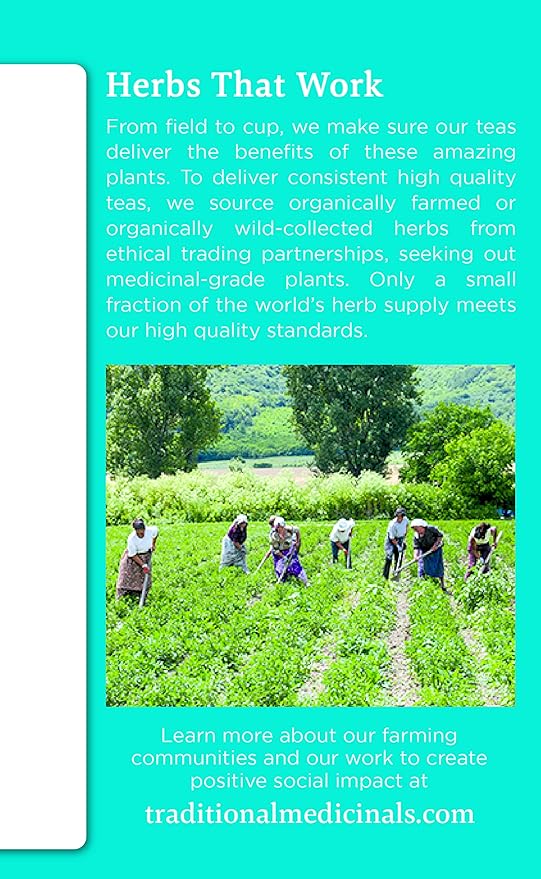 Traditional Medicinals Organic EveryDay Detox Schisandra Berry Herbal Tea, Supports Healthy Liver Function, (Pack of 1) - 16 Tea Bags