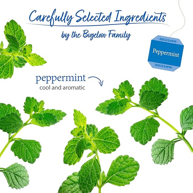 Bigelow Tea Peppermint Herbal, Caffeine Free, 20 Count, Pack of 6