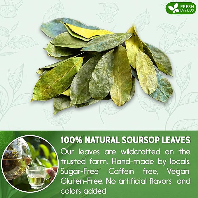 FreshDrinkUS, 55+ Premium Soursop Graviola Dried Leaves, 55-60 Natural Whole Leaves, Wildcrafted, Graviola, Hoja Guanabana, Soursop Loose Leaf Herbal Tea, No Gluten, Vegan
