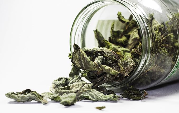 Organic Way Lungwort Dried Leaves (Pulmonaria officinalis) Cut & Sifted - Herbal Tea | Organic & Kosher Certified | Raw, Vegan, Non GMO & Gluten Free | USDA Certified | Origin - Albania (8 Ounce)