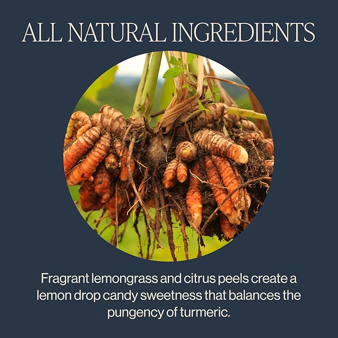 Rishi Tea Turmeric Ginger Herbal Tea - Organic Loose Leaf, Caffeine Free Ayurvedic Blend with Spicy Ginger & Citrus - 16 Ounces, 55+ Servings