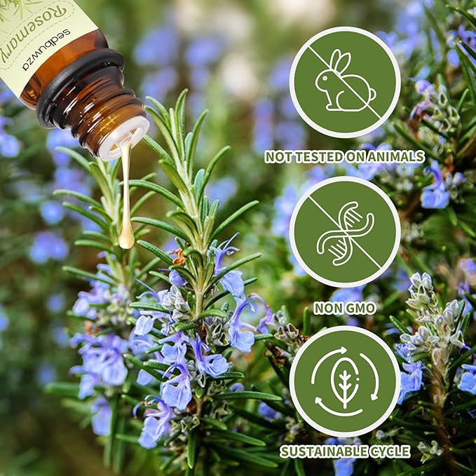 Sedbuwza Rosemary Peppermint Essential Oil Set, Rosemary Fragrance Oil Peppermint Scent Oil Set for Diffuser, Aromatherapy, Massage, Soap, Candle Making 2 x 10 ml