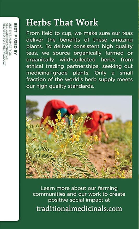 Traditional Medicinals Organic Fennel Herbal Tea, Promotes Digestive Health, (Pack of 2) 32 Tea Bags Total