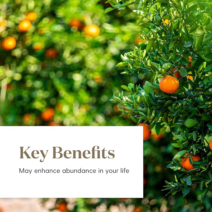 Young Living Abundance Essential Oil Blend | 15 ml | Warm, Uplifting Aromatherapy for Diffusing & Topical Use | Spicy, Invigorating Scent with Premium Botanical Oils