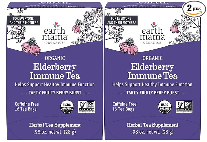Earth Mama Organic Elderberry Immune Support Tea with Echinacea | Safe for Pregnancy, Breastfeeding, Postpartum, Kids and Family Essentials, Decaf Tea with Ginger & Rooibos (16-Count, 2-PK)