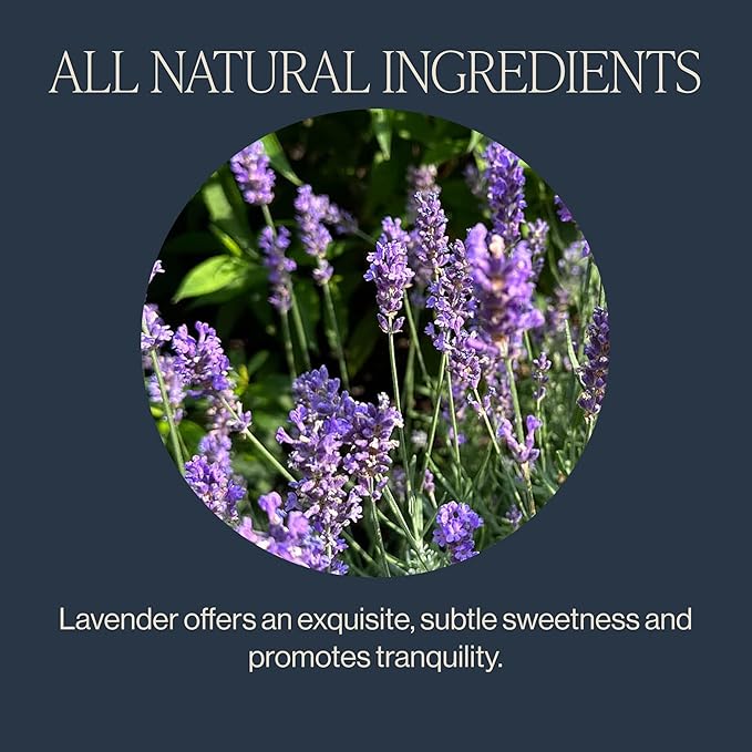 Rishi Tea Lavender Mint Herbal Tea - Organic, Caffeine Free Sachet Bags, Calming Lavender with Peppermint & Sage - 15 Count (Pack of 1)