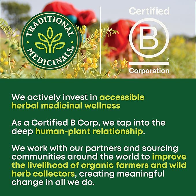 Traditional Medicinals Tea, Organic Spearmint, Supports Everyday Wellness, Healthy & Refreshing, 96 Tea Bags (6 Pack)