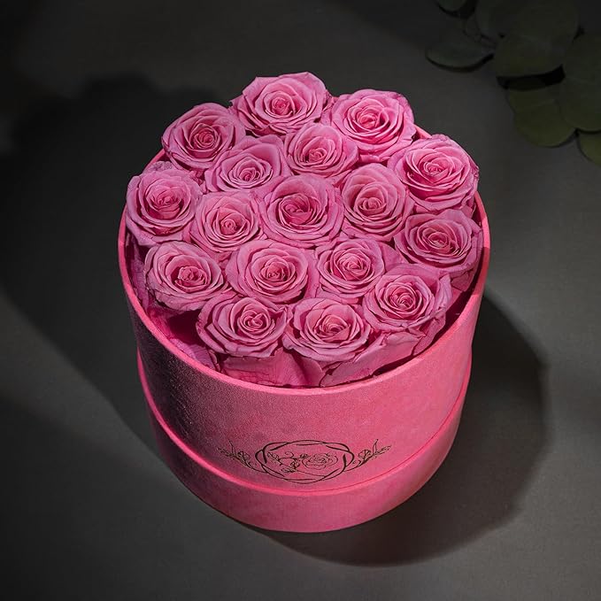 17 Flowers in a Velvet Pink Box, Birthday Gifts for Women, Preserved Flowers, Mothers Day Roses Gift for Mom, Pink