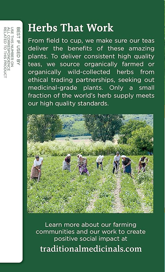 Traditional Medicinals Organic Spearmint Herbal Tea, Healthy & Refreshing (16 Count (Pack of 3))