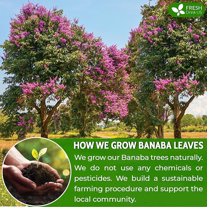 FreshDrinkUS, Premium 50+ Banaba Dried Leaves, 100% Natural & Pure from Whole Banaba Leaves, Banaba Leaf Tea, No Additives, No Caffeine, Vegan