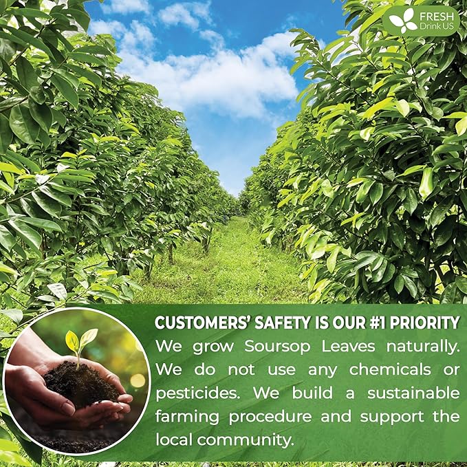 FreshDrinkUS, Premium 10 Soursop Graviola Leaf Tea Bags, 100% Natural & Pure from Soursop Leaves, Hoja Guanabana Herbal Tea. Made with Natural Material Tea Bags. No Sugar, No Caffeine, Vegan.