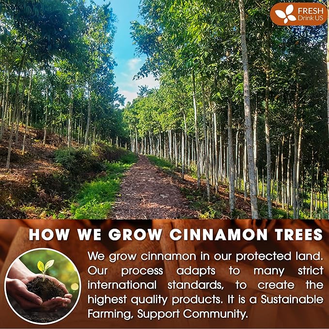 FreshDrinkUS Premium Cinnamon Sticks, 100% Natural & Pure Cinnamon Inner Bark, Strong Aroma, Perfect for Warm Beverages