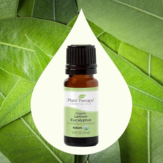 Plant Therapy Lemon Eucalyptus Organic Essential Oil 100% Pure, USDA Certified Organic, Undiluted, Natural Aromatherapy, Therapeutic Grade 10 mL (1/3 oz)