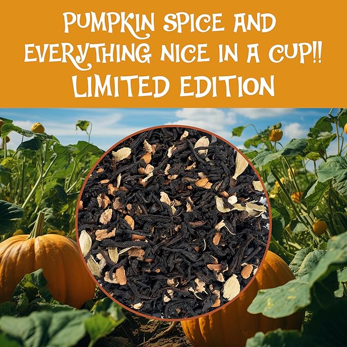BREWIX Pumpkin Spice Black Tea, Loose Leaf (50+ Cups, 3.53oz/100g) | Fall, Warm & Spicy