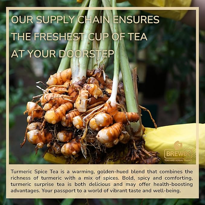 BREWIX, Turmeric Surprise Herbal Tea (75+ Cups, 5.29oz/150g), Caffeine Free Blend Of Turmeric, Black Pepper, Cinnamon, Ginger, Cardamom, Lemongrass