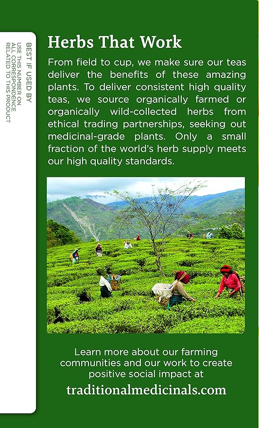 Traditional Medicinals Organic Ginger & Chamomile Herbal Tea, Relieves Occasional Indigestion or Nausea, (Pack of 1) - 16 Tea Bags