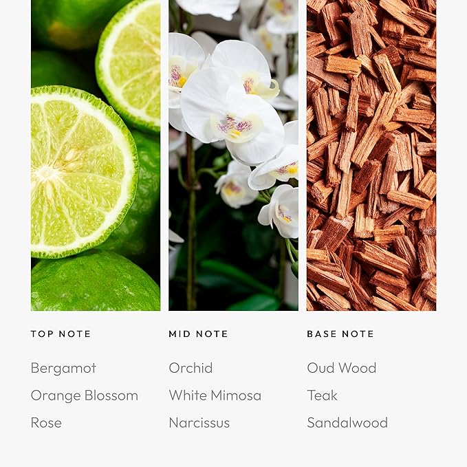 Aroma360 | Disney Pro- Pod | A Whole New World Fragrance Oil Blend | Disney Princess Jasmine | Luxury Essential Oil Diffuser | Aromatherapy Scent Diffuser Oil | Bergamot Orange Blossom Rose 1.7 fl oz