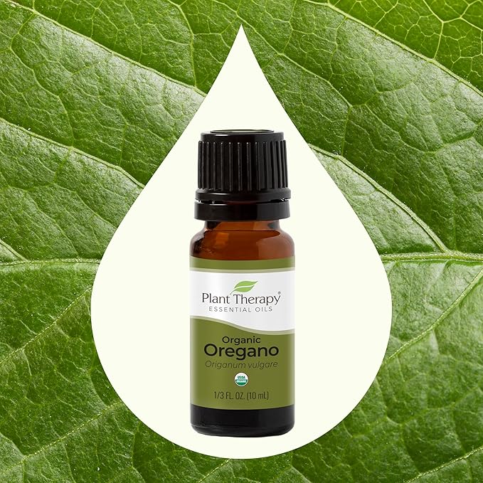 Plant Therapy Organic Oregano Essential Oil 100% Pure, USDA Certified Organic, Undiluted, Natural Aromatherapy, Therapeutic Grade 10 mL (1/3 oz)