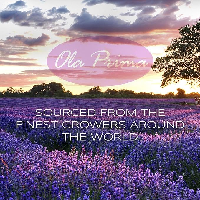 Ola Prima Clove Essential Oil – 8oz Clove Oil
